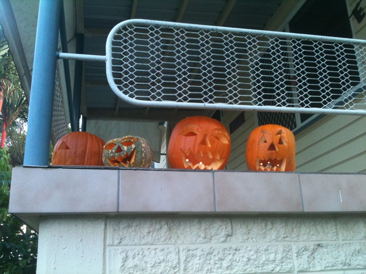 Calabazas de Halloween talladas e iluminadas